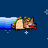 Fiesta Dog Nyan Cat