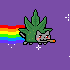 Dogg Nyan Cat